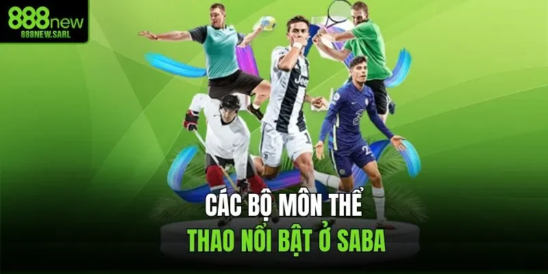 Các bộ môn thể thao nổi bật ở Saba